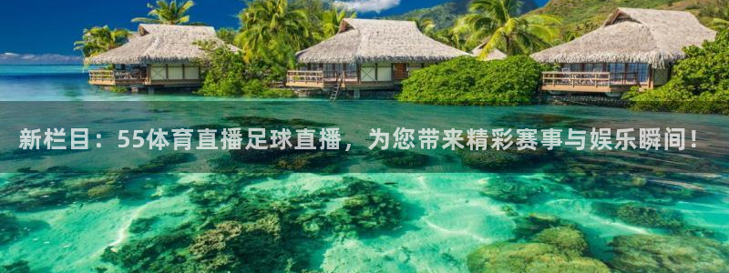 新栏目：55体育直播足球直播，为您带来精彩赛事与娱乐瞬间！