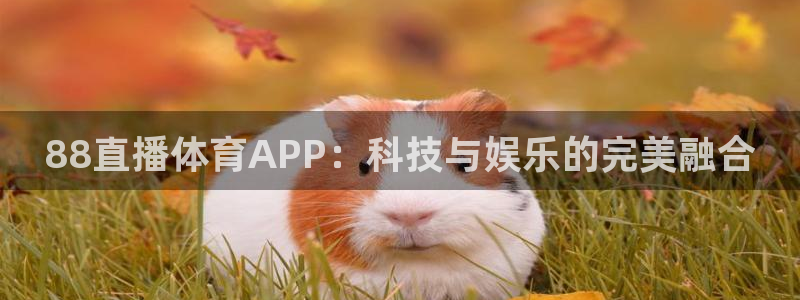 88直播体育APP：科技与娱乐的完美融合