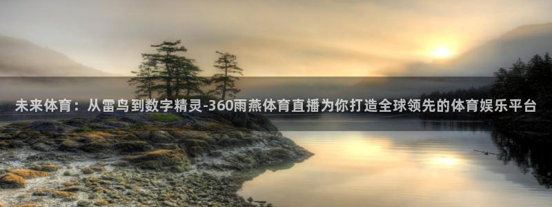未来体育：从雷鸟到数字精灵-360雨燕体育直播为你打造全球领先的体育娱乐平台
