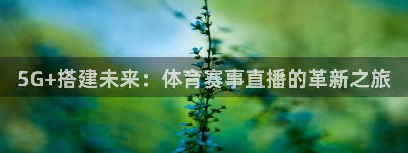 5G+搭建未来：体育赛事直播的革新之旅