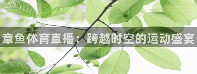 章鱼体育直播：跨越时空的运动盛宴