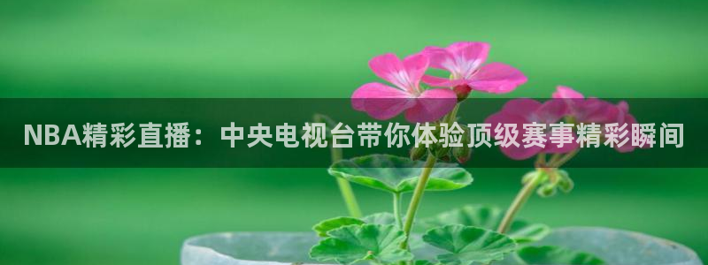NBA精彩直播：中央电视台带你体验顶级赛事精彩瞬间