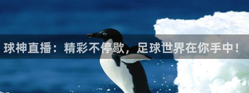 球神直播：精彩不停歇，足球世界在你手中！