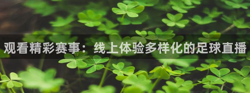 观看精彩赛事：线上体验多样化的足球直播