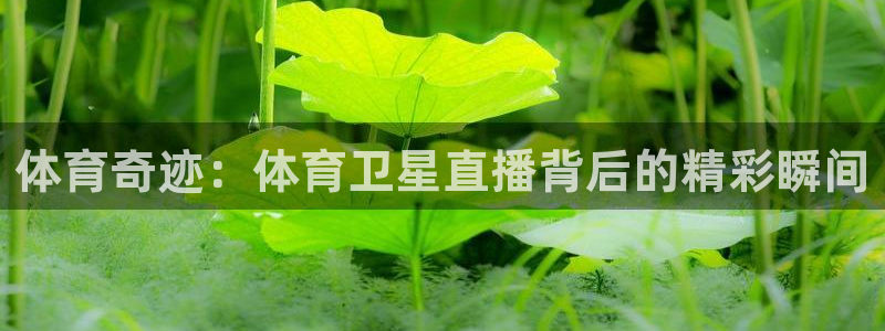 体育奇迹：体育卫星直播背后的精彩瞬间