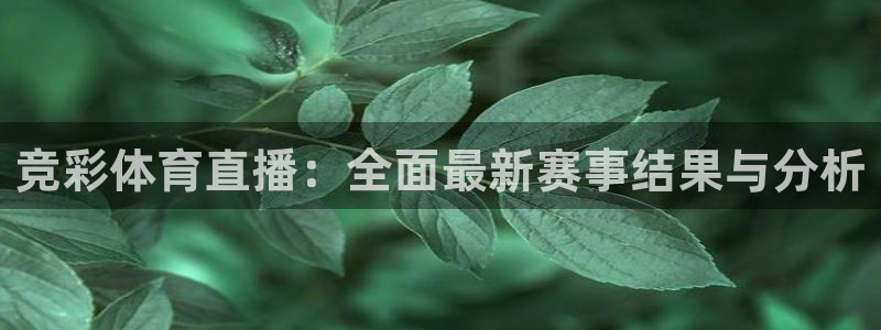 竞彩体育直播：全面最新赛事结果与分析