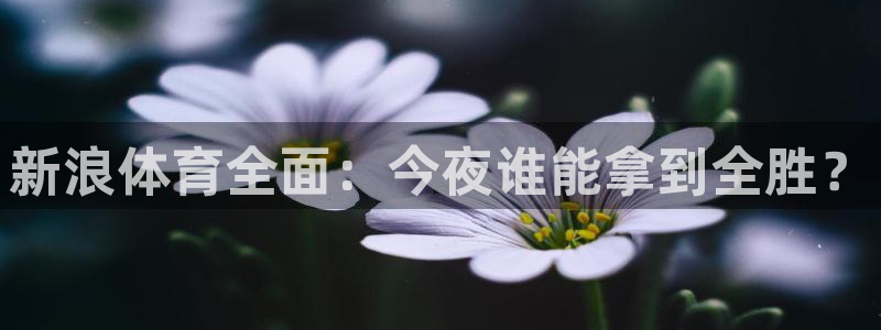 新浪体育全面：今夜谁能拿到全胜？