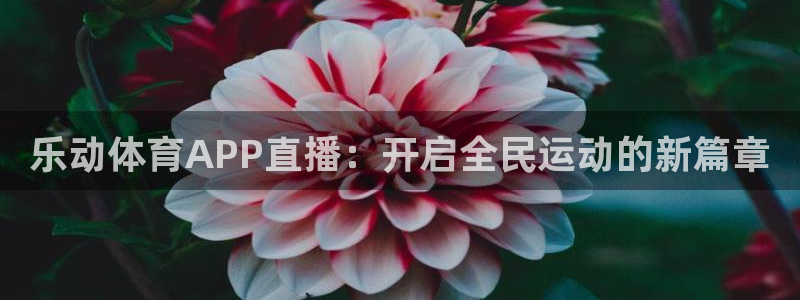 乐动体育APP直播：开启全民运动的新篇章