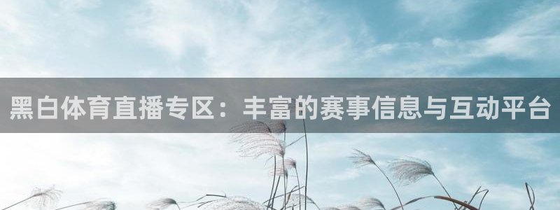 黑白体育直播专区：丰富的赛事信息与互动平台