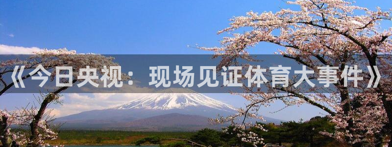 《今日央视：现场见证体育大事件》