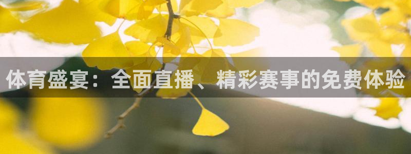 体育盛宴：全面直播、精彩赛事的免费体验