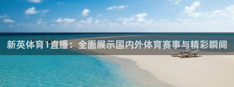 新英体育1直播：全面展示国内外体育赛事与精彩瞬间