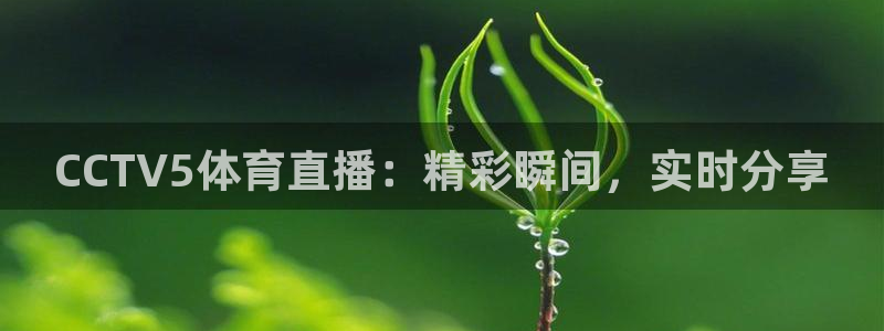 CCTV5体育直播：精彩瞬间，实时分享