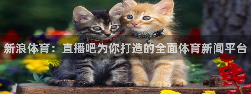新浪体育：直播吧为你打造的全面体育新闻平台