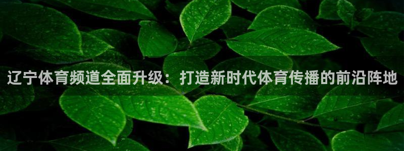 辽宁体育频道全面升级：打造新时代体育传播的前沿阵地
